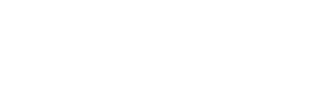 Carlos Costa Jr logotipo branco